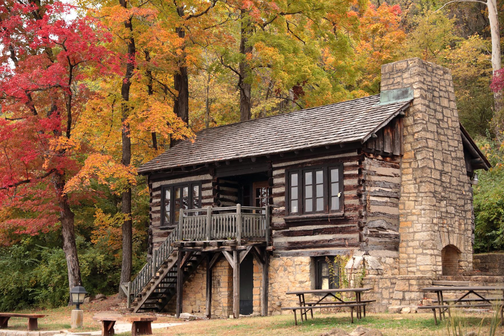 Fall foliage